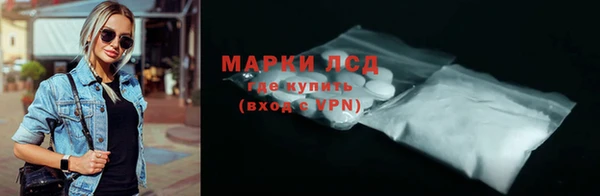 хмурый Абаза