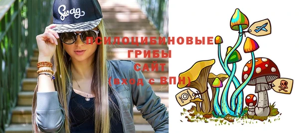 ECSTASY Алексеевка