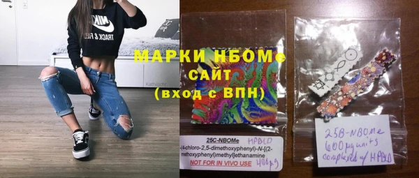 хмурый Абаза