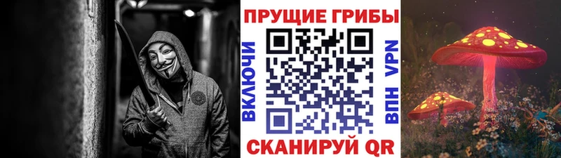 Псилоцибиновые грибы GOLDEN TEACHER  Заводоуковск 